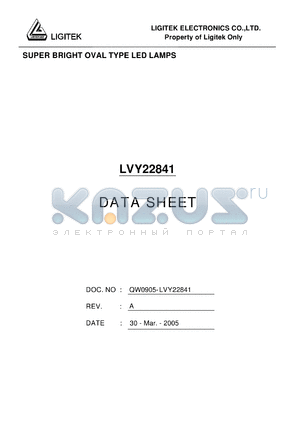 LVY22841 datasheet - SUPER BRIGHT OVAL TYPE LED LAMPS