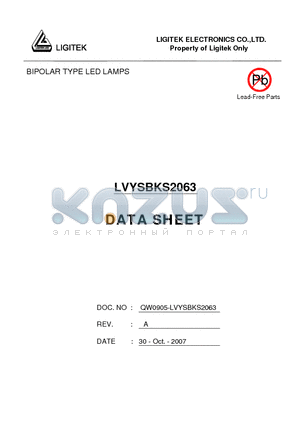 LVYSBKS2063 datasheet - BIPOLAR TYPE LED LAMPS