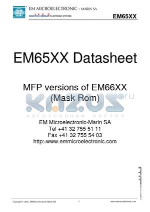 EM6505 datasheet - Mask Rom