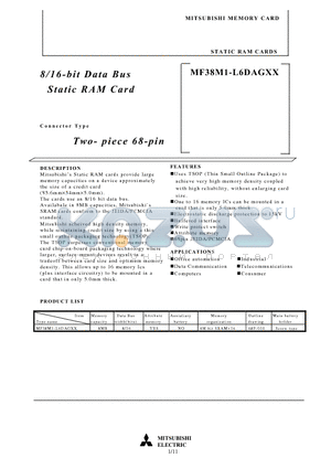 MF38M1-L6DAGXX datasheet - 8/16-bit Data Bus Static RAM Card