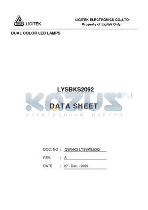 LYSBKS2092 datasheet - DUAL COLOR LED LAMPS