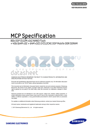 KBY00U00VA-B450 datasheet - MCP Specification