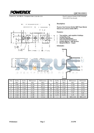 QIC0610001 datasheet - Dual Common Emitter IGBT Module 100A 600V Per Switch