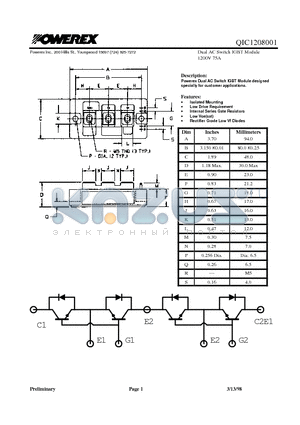 QIC1208001 datasheet - Dual AC Switch IGBT Module 1200V 75A