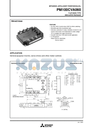 PM100CVA060 datasheet - FLAT-BASE TYPE INSULATED PACKAGE