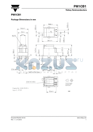 PM1CB1 datasheet - Package Dimensions in mm