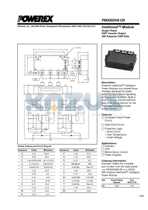 PM300DVA120 datasheet - Intellimod Module Single Phase IGBT Inverter Output (300 Amperes/1200 Volts)