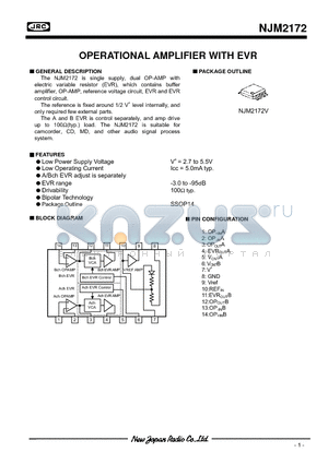 NJM2172 datasheet - OPERATIONAL AMPLIFIER WITH EVR