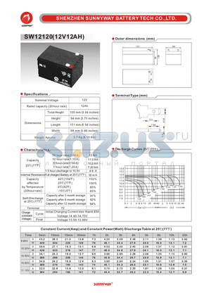 SW12120 datasheet - General Battery