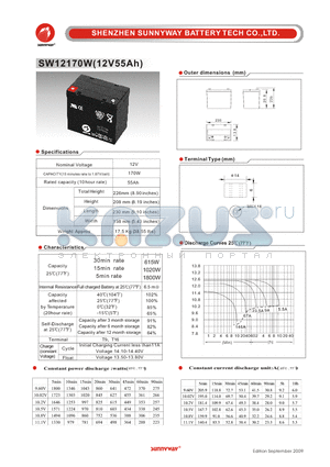 SW12170W datasheet - High rate discharge battery
