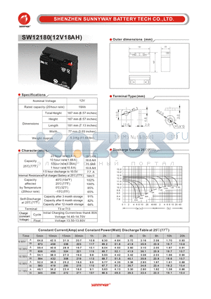 SW12180 datasheet - General Battery