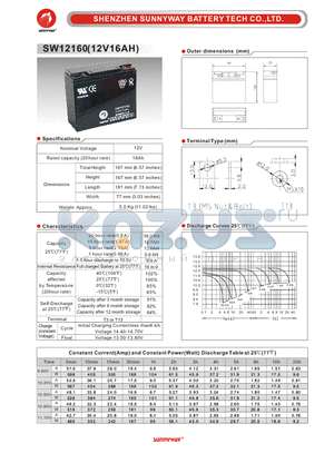 SW12160 datasheet - General Battery