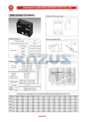 SW12200 datasheet - General Battery