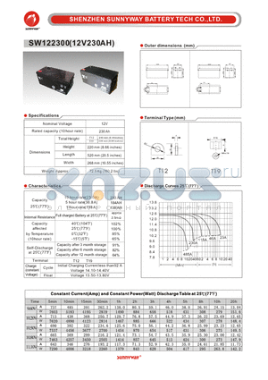 SW122300 datasheet - General Battery