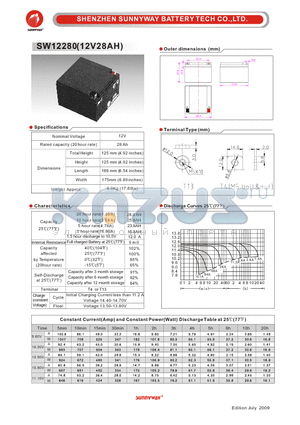 SW12280 datasheet - General Battery