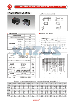 SW12350 datasheet - General Battery