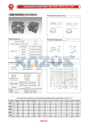 SW12400II datasheet - General Battery
