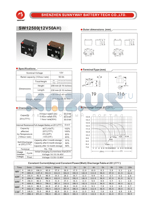 SW12500 datasheet - General Battery