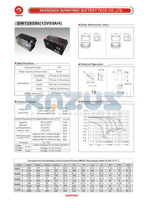 SW12650II datasheet - General Battery