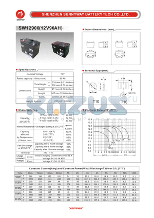 SW12900 datasheet - General Battery