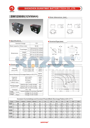 SW12900II datasheet - General Battery