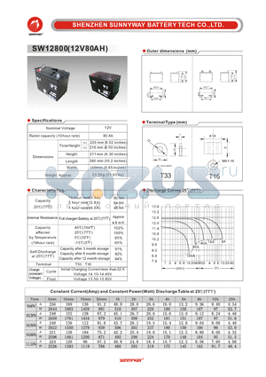 SW12800 datasheet - General Battery