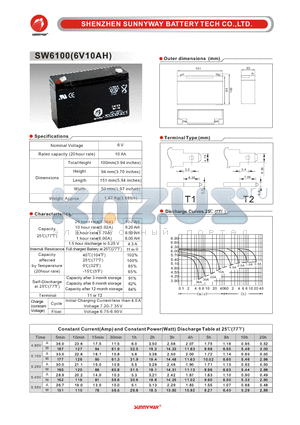 SW6100 datasheet - General Battery