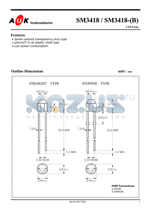 SM3418-B datasheet - LED Lamp