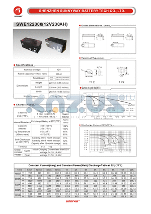 SWE122300 datasheet - Deep cycle battery