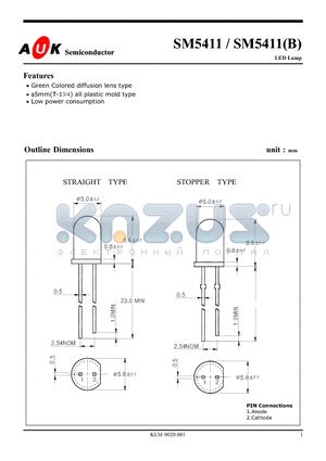 SM5411 datasheet - LED Lamp