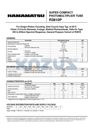 R3810P datasheet - SUPER COMPACT PHOTOMULTIPLIER TUBE