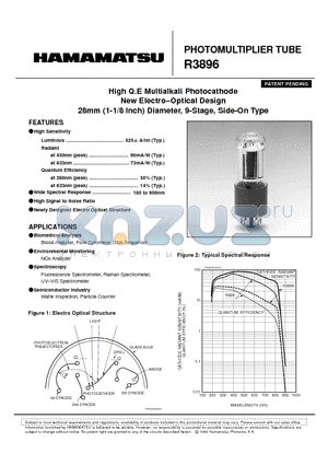 R3896 datasheet - PHOTOMULTlPLlER TUBE