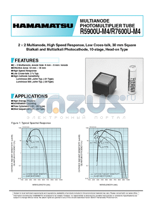 R5900U-04-M4 datasheet - MULTIANODE PHOTOMULTIPLIER TUBE