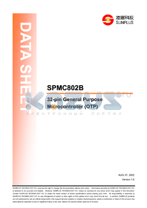 SPMC802B-PD09 datasheet - 32-pin General Purpose  Microcontroller (OTP)