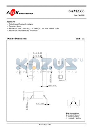 SAM2333_1 datasheet - Dual Chip LED