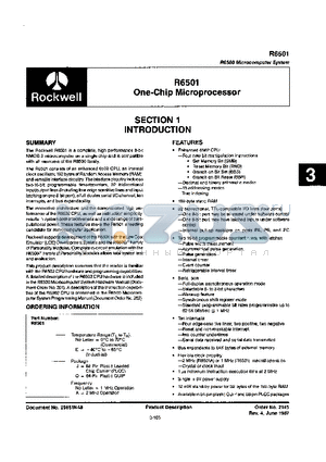 R6501AQ datasheet - ONE CHIP MICROPROCESSOR