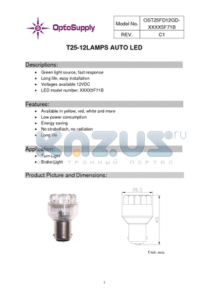 OST25FD12GD-Y5RU5F71B datasheet - T25-12LAMPS AUTO LED