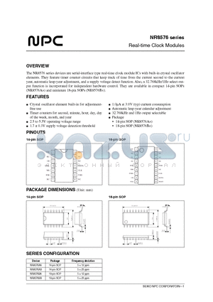 NR8576BB datasheet - Real-time Clock Modules