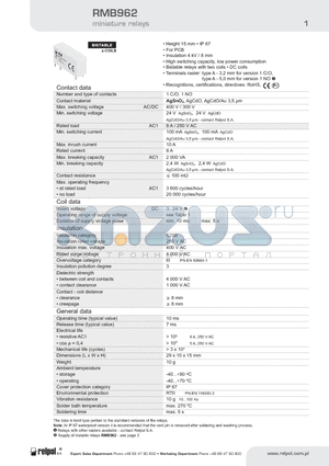 RMB962 datasheet - miniature relays