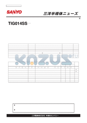 TIG014SS datasheet - TIG014SS