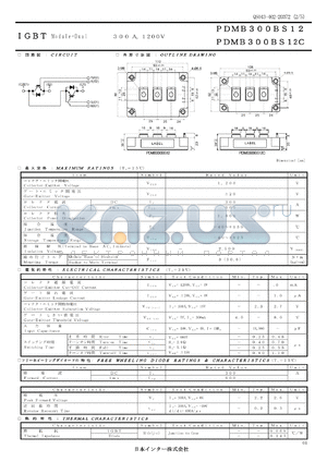 PDMB300BS12C datasheet - IGBT Module-Dual