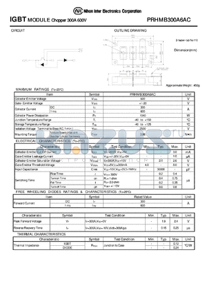 PRHMB300A6AC datasheet - IGBT MODULE Chopper 300A 600V