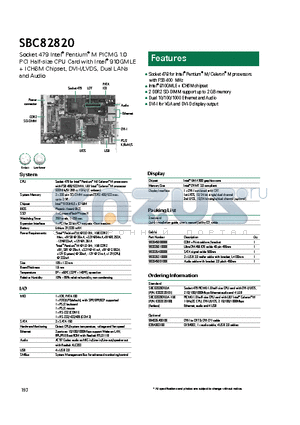 SBC82820DGGA datasheet - DVI-I for VGA and DVI-D display output