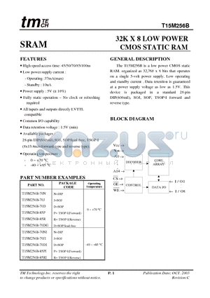 T15M256B-85RI datasheet - 32K X 8 LOW POWER CMOS STATIC RAM