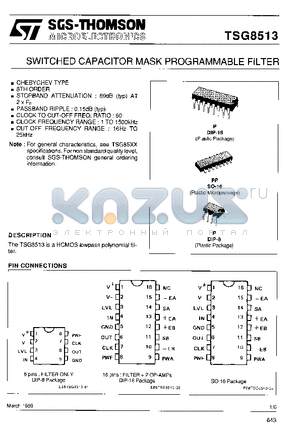 TSG85131XP datasheet - SWITCHED CAPACTIOR MASK PROGRAMMABLE FILTER