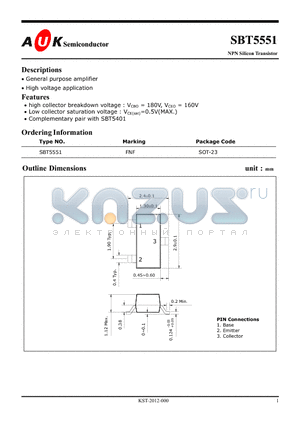 SBT5551_1 datasheet - NPN Silicon Transistor