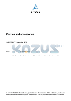 T38 datasheet - Ferrites and accessories