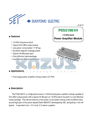 P0531961H datasheet - 1.9 GHz band Power Amplifier Module