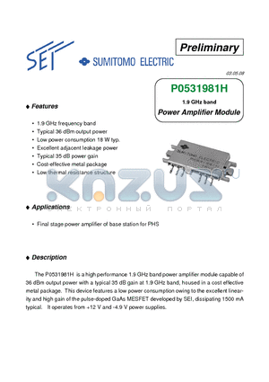 P0531981H datasheet - 1.9 GHz band Power Amplifier Module