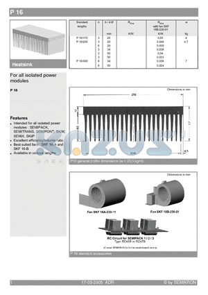 P16/200 datasheet - For all isolated power modules